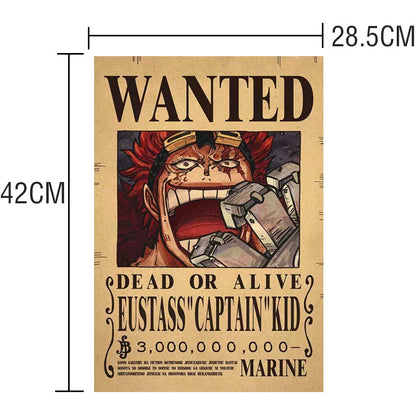 One Piece Wanted Posters